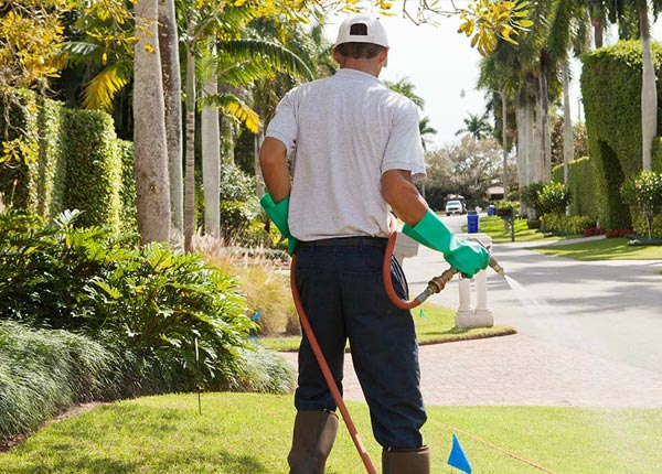 About Ozone Park NY Pest Control Pros